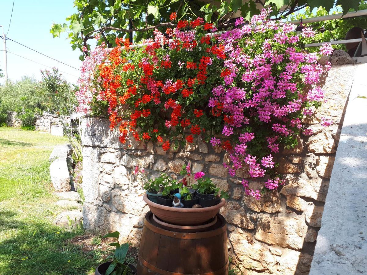 Apartments Sabina I Grapes Malinska Bagian luar foto